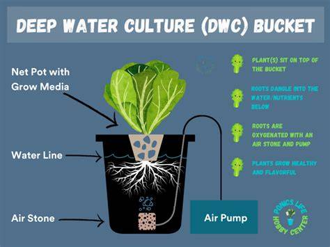 DIY DWC (Deep Water Culture) System | How To … - raincitystudios.com
