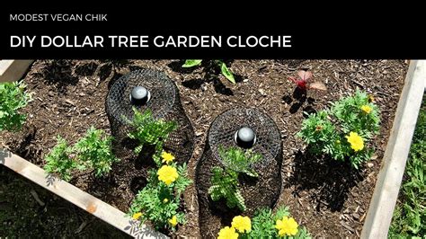 DIY Dollar Tree Garden Cloche Two Dollar Project - YouTube