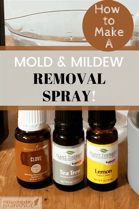 DIY Essential Oil Mildew Remover - The Miracle of …