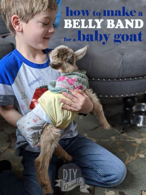 DIY Goat Diapers for Small Breeds - DIY Danielle®