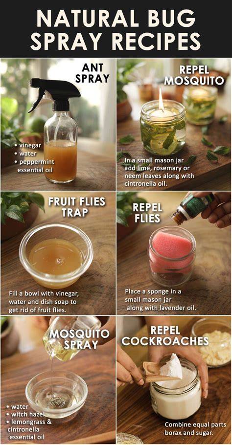 DIY Homemade Spray Recipes for Pest Control | Live to Plant - raincitystudios.com