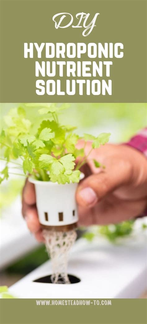 DIY Hydroponic Nutrients - wintechmobiles.com