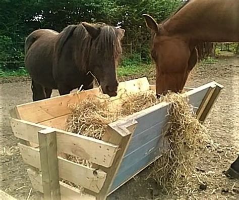 DIY Horse Hay Feeder A StepbyStep Guide Blog DigitalTechnology