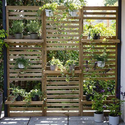 DIY Ideas for Building a Living Fence with Hedging Plants - raincitystudios.com
