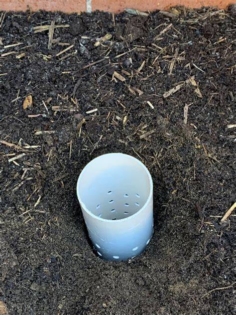 DIY In-Ground Worm Farm - The Gourmantic Garden - raincitystudios.com