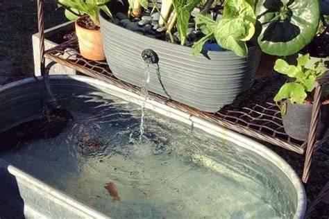 DIY Kolam Ikan Mini - Budget 300rb || Step by Step, Mudah - raincitystudios.com