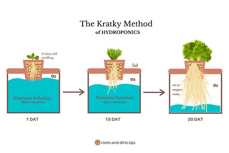 DIY Nutrient Solution Recipes for Kratky Method - wintechmobiles.com