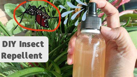 DIY Organic Insect Repellent for Plants | Natural Tips 2025 - raincitystudios.com