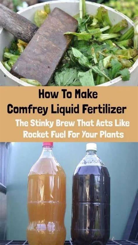 DIY Organic Liquid Fertilizer Recipe - raincitystudios.com