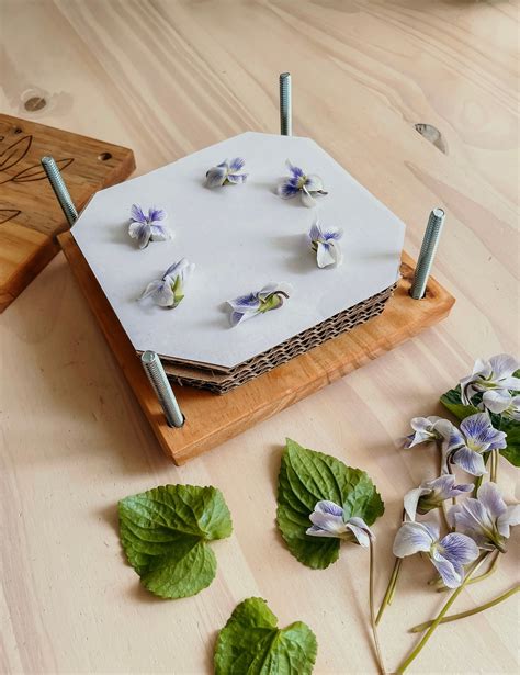 DIY Plant Pressing - Field Museum - raincitystudios.com