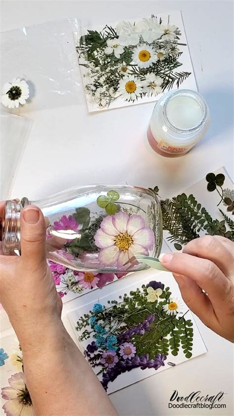 DIY Pressed Flowers with Mod Podge - muktibox.com