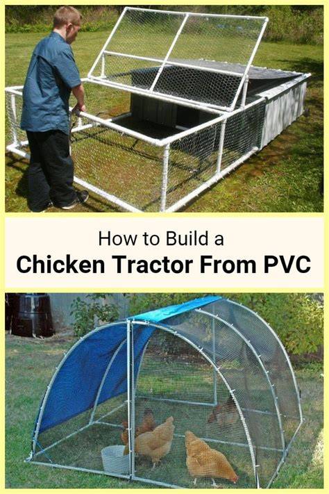 DIY PVC Chicken Tractor: 11 Simple Steps for Mobility … - raincitystudios.com