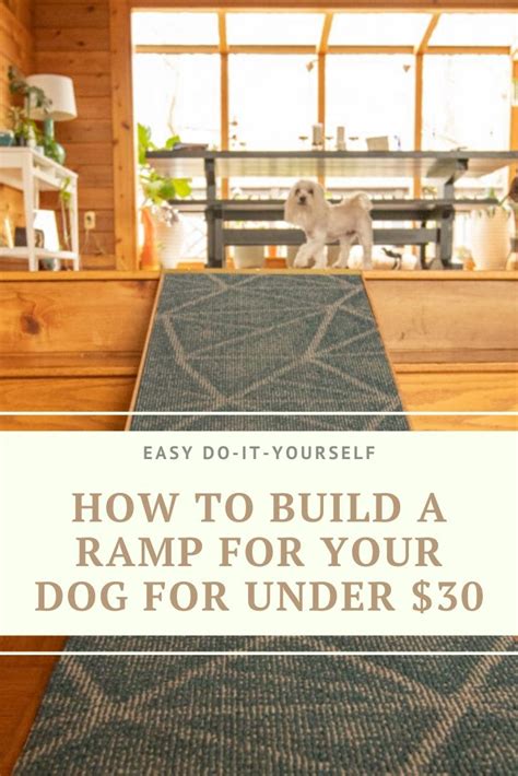 DIY Project How to Build a Dog Ramp for 30