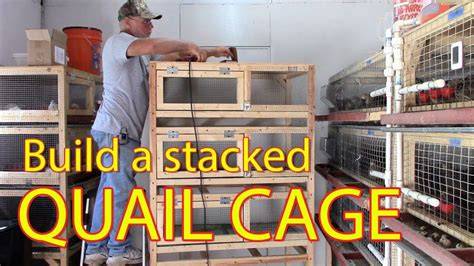 DIY Quail Cage for 50 Quails | Simple & Space-Saving Design - raincitystudios.com