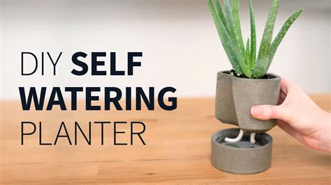 DIY Self Watering Concrete Planter - Artsy Pretty Plants - muktibox.com
