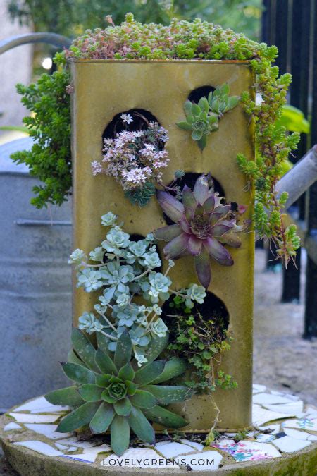 DIY Succulent Planter Using an Old Can - Lovely Greens - raincitystudios.com
