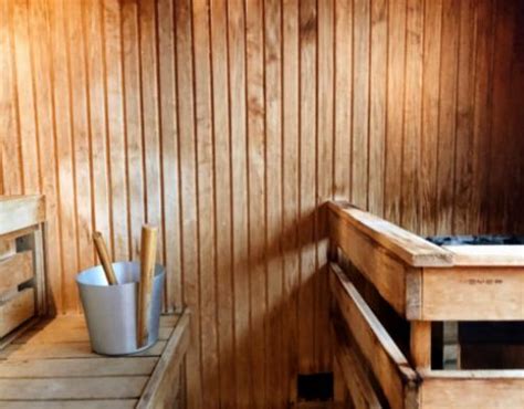 DIY Sauna Tent: Transform Your Home Into a Wellness Oasis