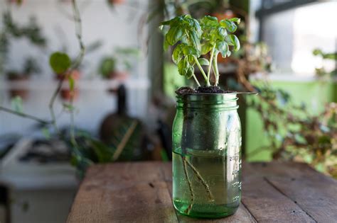 DIY Self-Watering Planter Wicks