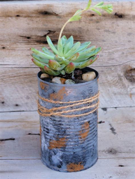 DIY Tin Can Planters | How to Recycle Your Rubbish - raincitystudios.com