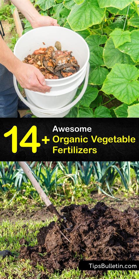 DIY Vegetable Fertilizer - Feed Your Veggies for a … - raincitystudios.com