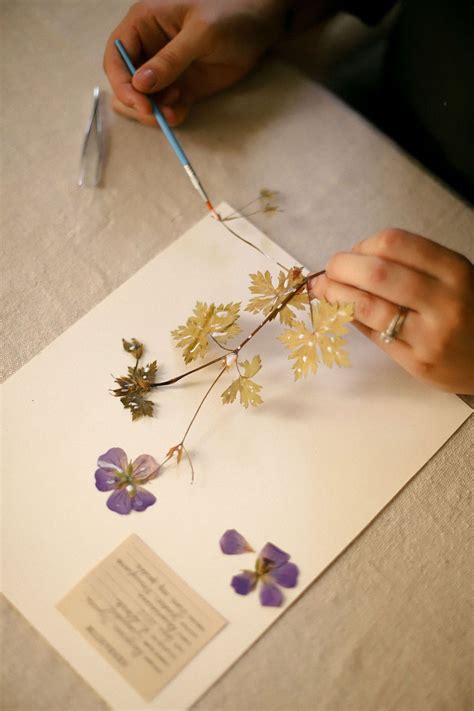 DIY Vintage-Inspired Pressed Flower Art - Stevie Storck - muktibox.com