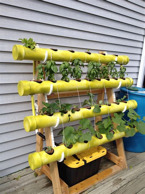 Read Online Diy Hydroponics Gardening  How To Start Your First Hydroponics System Without Spending Too Much Money And Time Hydroponics Aquaponics  Grow Lights Hydrofarmorganic Gardening By James Coble