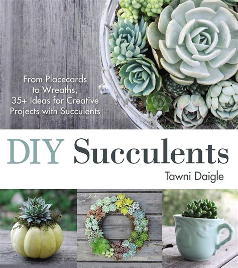 Full Download Diy Succulents From Placecards To Wreaths 35 Ideas For Creative Projects With Succulents By Tawni Daigle
