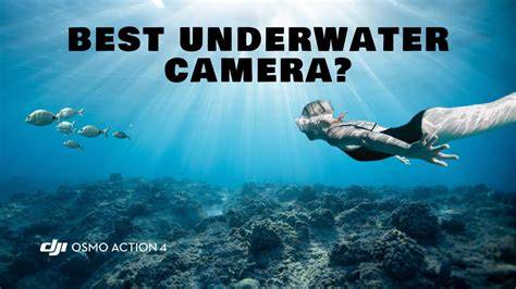 DJI Osmo Action 4 Underwater Review | BEST SETTINGS & TIPS - raincitystudios.com
