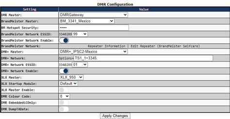 DMRPlus sMaster - 21 2