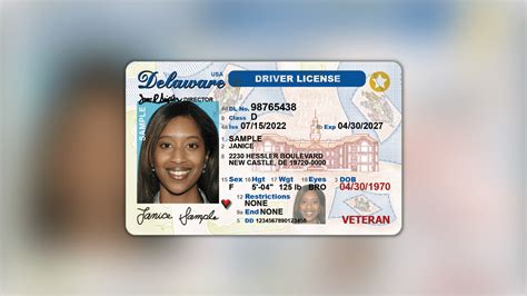DMV Driver License Status