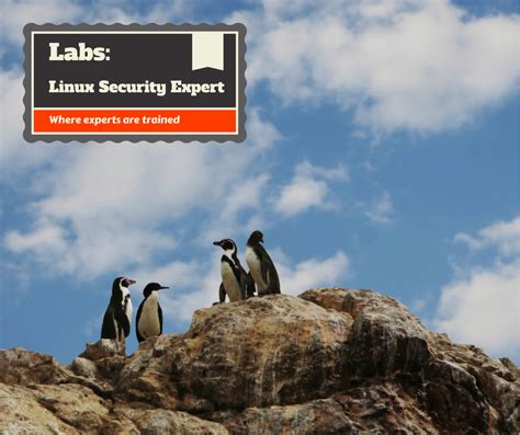 DMitry alternatives - Linux Security Expert