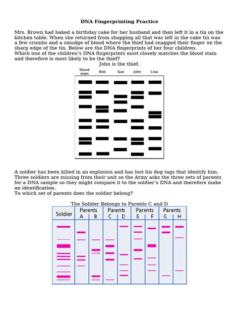 DNA Analysis Practice Test Test Questions | Quizlet - wintechmobiles.com