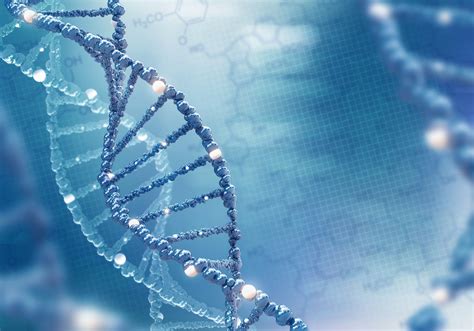 DNA Health Gene Testing - Knowledge4Health