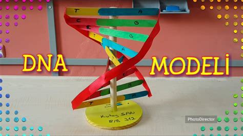 DNA Modeli 3D YouTube. 