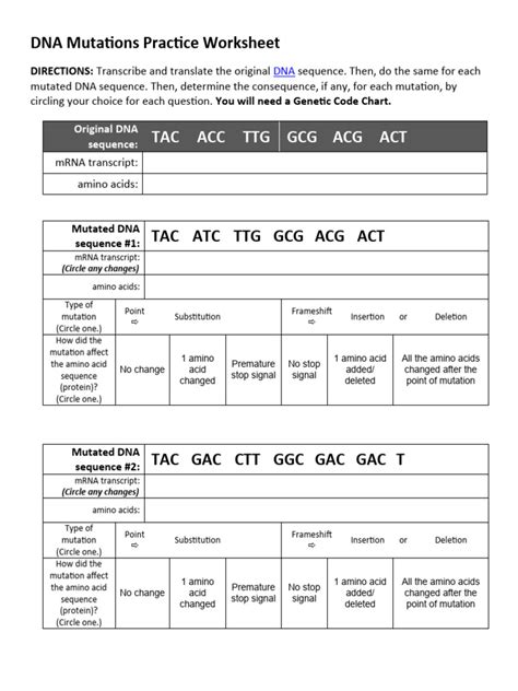 DNA Mutations Practice Worksheet PDF Point Mutation Genetic Code
