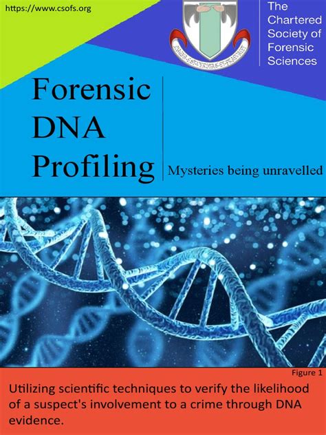 Dna Profiling Forensic Laboratory - wintechmobiles.com