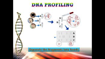 DNA Profiling in Forensic Science: A Review - PubMed - wintechmobiles.com