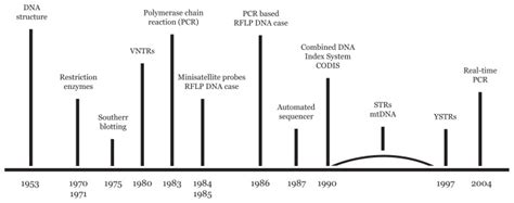 DNA Profiling in Human Identification: From Past to Present - wintechmobiles.com