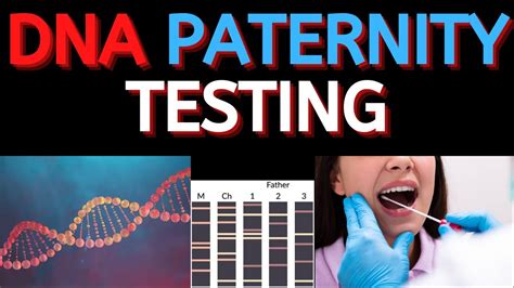 DNA Paternity Testing Tacoma, WA Test Me DNA