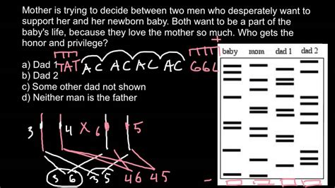 DNA Paternity Testing theory explaned YouTube