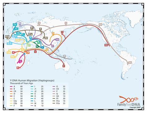 DNA Resources - China Family Search