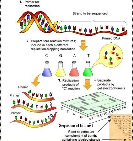 DNA sequencing - wintechmobiles.com