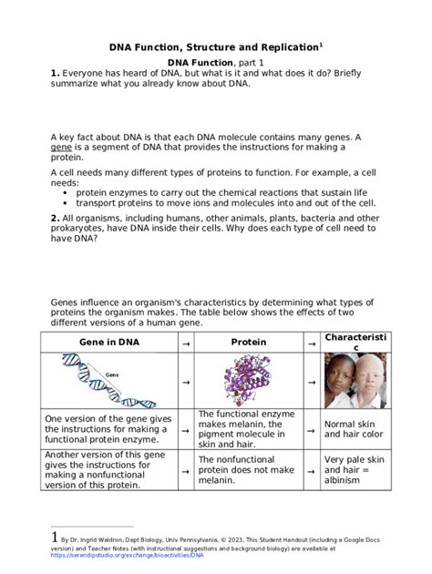 DNA explained Structure function and impact on health