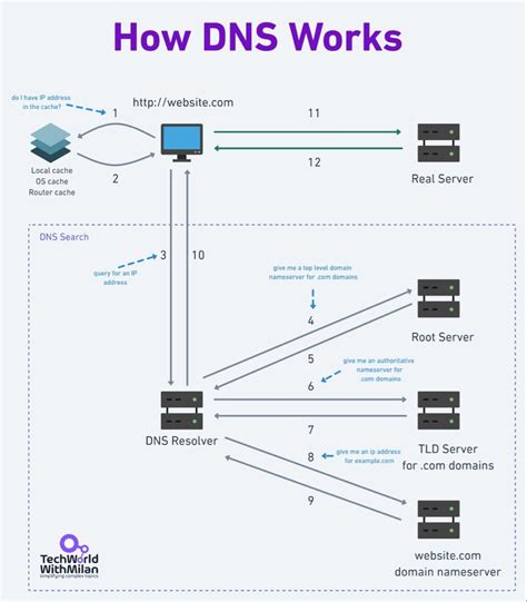 DNS Basic - Authoritative servers store DNS records for their ... - coolestguyplanet.net