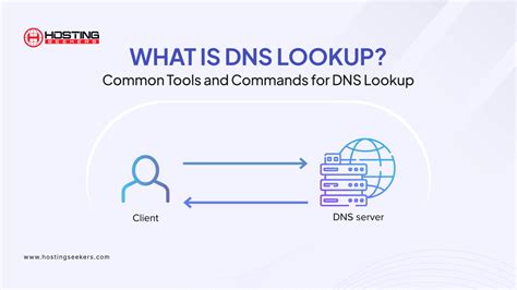DNS Kontrol DNA Lookup.