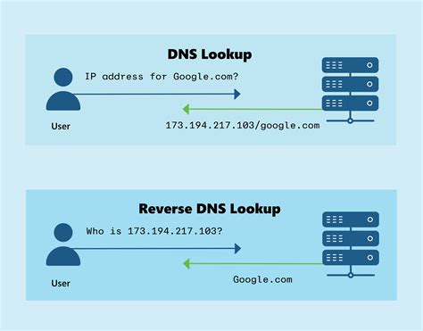 DNS Lookup - Check All DNS Records for Any Domain - coolestguyplanet.net