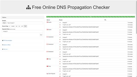 DNS Propagation Checker - Global DNS Testing Tool - coolestguyplanet.net