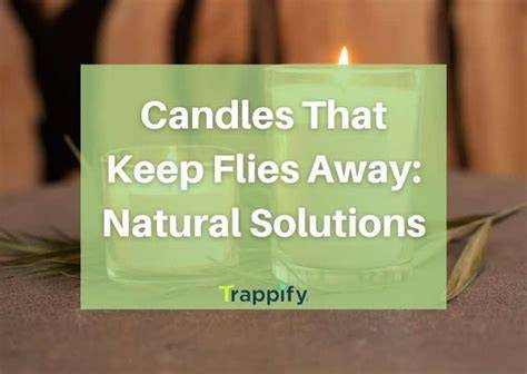 Do Lavender Candles Keep Flies Away - raincitystudios.com