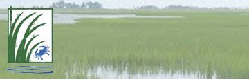 Do Your Part: Help Protect Our Estuaries - NOAA's National Ocean … - raincitystudios.com