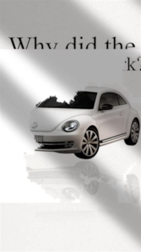 Documentary Video Editor with Motion Graphics Expertise - muktibox.com